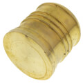 Product Image of 2" PEX Brass Plug (Lead Free)