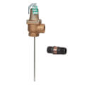Product Image of 1" 140X Relief Valve w/ Flood Sensor Connectivity