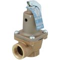 Product Image of 3/4" 174A Relief Valve w/ Flood Sensor Connectivity (40 psi)