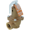 Product Image of 3/4" 174A Relief Valve w/ Flood Sensor Connectivity (45 psi)