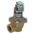Product Image of 3/4" 174A Relief Valve w/ Flood Sensor Connectivity (100 psi)