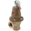 Product Image of 1-1/4" 174A Relief Valve w/ Flood Sensor Connectivity (30 psi)