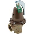 Product Image of 1-1/4" 174A ASME Boiler Pressure Relief Valve w/ Flood Sensor Connectivity (60 psi)