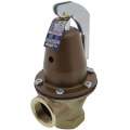 Product Image of 1-1/4" 174A Relief Valve w/ Flood Sensor Connectivity (125 psi)