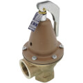 Product Image of 1-1/2" 174A Relief Valve w/ Flood Sensor Connectivity (125 psi)