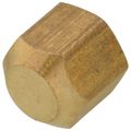 Product Image of (40-4) 1/4" Brass Flare Cap