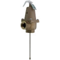 Product Image of 1" LFN240X-6 Lead FreeT&P Relief Valve w/ Flood Sensor Connectivity (150 psi)