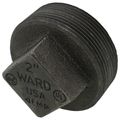 Product Image of 2" Black Regular Cored Plug