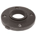 Product Image of 2-1/2" x 7" Black Cast Iron Steam Companion - Screwed Flange, Class 125