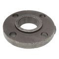 Product Image of 2" x 6" Black Cast Iron Steam Companion - Screwed Flange, Class 125