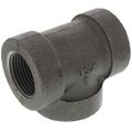 Product Image of 2-1/2" x 2" x 1-1/2" Black Cast Iron Steam Tee, Class 125