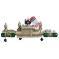 Product Image of 1" 007M1-QT-CT-FZ Double Check Valve Assembly, Cap and Tether w/ Freeze Sensor