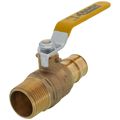 Product Image of 1" Expansion 1" Male NPT Brass Ball Valve (Lead Free)