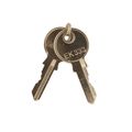 Product Image of Meta Enclosure Replacement Keys (Set of 2)
