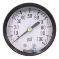 Product Image of 2" Pressure Gauge, Back Mount (0-100 PSI)