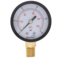 Product Image of 2" Dual Scale Economy Pressure Gauge, Bottom Mount (0-15 PSI)