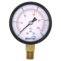 Product Image of 2.5" Dual Scale Economy Pressure Gauge, Bottom Mount (0-15 PSI)