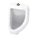 Product Image of Lafayette 0.125/0.5/1.0gpf Urinal Washout Top Spud 13-3/8" Width (White), GHE27740