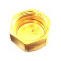 Product Image of 3/4" Suction Brass Cap, 803131000