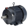 Product Image of 3 Phase TEFC Globetrotter General Purpose Motor, 213T Frame (230/460V, 1768 RPM, 7.5 HP)