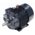 Product Image of 3 Phase TEFC Globetrotter General Purpose Motor, 254T Frame (230/460V, 1772 RPM, 15 HP)