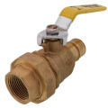 Product Image of 1" Expansion PEX x FNPT Union Ball Valve (Lead Free)