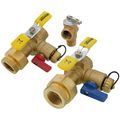 Product Image of 1" IPS Isolator E-X-P E2 Tankless Water Heater Service Valve Kit w/ 150 PSI PRV