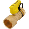 Product Image of 1" Sweat x 3/4" Hose Pro-Pal Add-A-Drain Full Port DZR Brass Ball Valve w/ Cap
