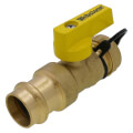 Product Image of 3/4" Press x 3/4" Hose Pro-Pal Add-A-Drain Full Port DZR Brass Ball Valve w/ Cap