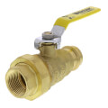 Product Image of 1" Press x FNPT Union Full Port Ball Valve (Lead Free)