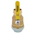 Product Image of 2" FIP Union x Press Pro-Pal Dielectric Union Ball Valve (Lead Free)
