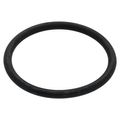 Product Image of 3/4" EPDM Gasket for Ultra-Compact Tankless Water Heater Service Valve Kit