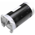 56Y 3-Phase Squirrel Cage Pool & Spa Pump Motor (208-230/460V, 3450 RPM, 1-1/2 HP)