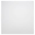 Product Image of 22" x 22" Handi-Access Plastic Access Panel