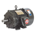 Product Image of 3-Phase General Purpose Motor, T-Frame (230/460V, 25 HP 1800 RPM)
