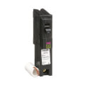 Product Image of Homeline Dual Function Single Pole Miniature Circuit Breaker (120V, 15A)