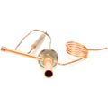 Product Image of Expansion Valve, 443981-01