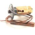 Product Image of Expansion Valve, 4A1135-01