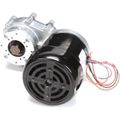 Product Image of Gear Motor, 4A5650-01