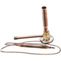 Product Image of P00318-01 Expansion, P00318-01