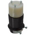 Product Image of 2P 3 Wire 20A Industrial Locking Plug, L5-20R, 125V, Black & White, HBL2313