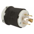Product Image of Industrial Locking Plug, L22-30P, 277 & 480V, Black & White, HBL2821