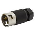 Product Image of 50 A 125/250 Vac 3-Pole 4-Wire Twist-Lock Economy Male Plug (Black)
