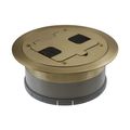 Product Image of Flange And Hinged Door Cover W/ Tamper-Resistant Duplex Receptacle, Solid Brass