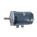 Product Image of 208-230/460v 3 PH 3 HP 1725 RPM, 1170540