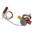 Product Image of Expansion Valve Replacement, 1171978