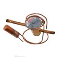 Product Image of Valve Thermal Expansion Valve 2.0, 1178401