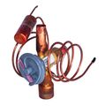 Product Image of Thermal Expansion Valve, 1184028