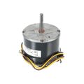 Product Image of 208-230 V 1 PH 1/5 HP 810 RPM Motor, 1184598