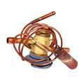 Product Image of Kit Replacement Thermal Expansion Valve, 1185219